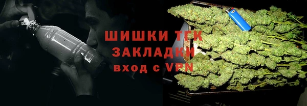 мдпв Волоколамск