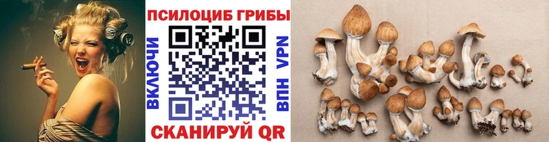 Галлюциногенные грибы Cubensis  продажа наркотиков  Карабулак 